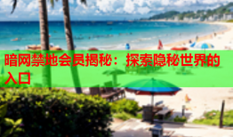 暗网禁地会员揭秘：探索隐秘世界的入口