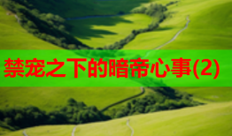 禁宠之下的暗帝心事(2)