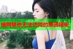 暗网禁地无法访问的原因揭秘