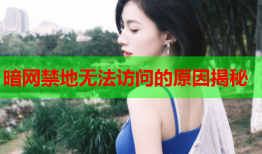 暗网禁地无法访问的原因揭秘