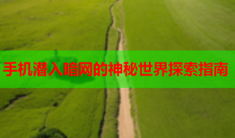 手机潜入暗网的神秘世界探索指南