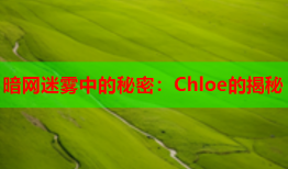 暗网迷雾中的秘密：Chloe的揭秘