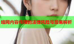 暗网内容传播的法律风险与后果解析