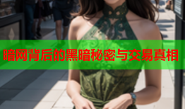 暗网背后的黑暗秘密与交易真相