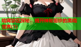 暗网禁区探秘：揭开神秘面纱的黑暗世界(1)