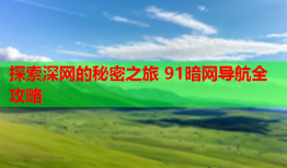 探索深网的秘密之旅 91暗网导航全攻略