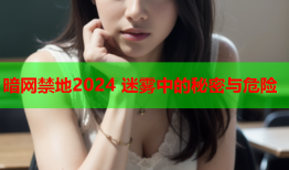 暗网禁地2024 迷雾中的秘密与危险