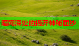 暗网深处的揭开神秘面纱