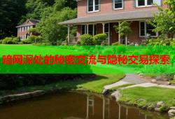 暗网深处的秘密交流与隐秘交易探索