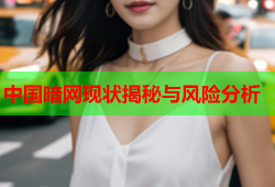 中国暗网现状揭秘与风险分析