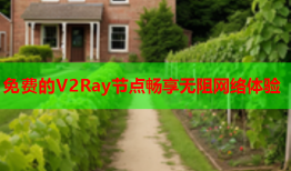 免费的V2Ray节点畅享无阻网络体验