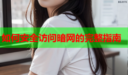 如何安全访问暗网的完整指南