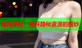 暗网探秘：揭开隐秘资源的面纱