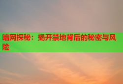 暗网探秘：揭开禁地背后的秘密与风险