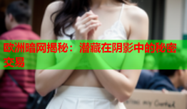 欧洲暗网揭秘：潜藏在阴影中的秘密交易