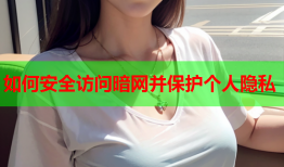 如何安全访问暗网并保护个人隐私