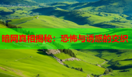 暗网真相揭秘：恐怖与诱惑的交织