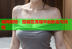 暗网揭秘：隐藏在黑暗中的秘密与真相