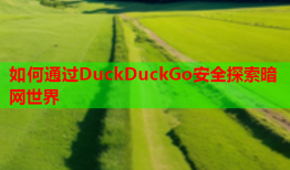 如何通过DuckDuckGo安全探索暗网世界