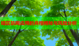 暗区禁网应用的真相揭秘与风险分析