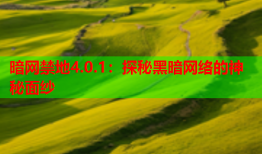 暗网禁地4.0.1：探秘黑暗网络的神秘面纱