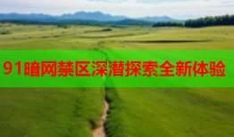 91暗网禁区深潜探索全新体验