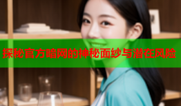 探秘官方暗网的神秘面纱与潜在风险