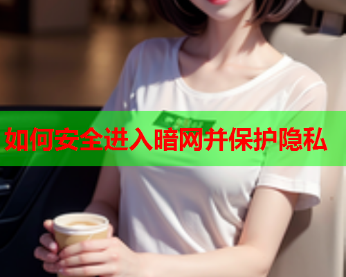 如何安全进入暗网并保护隐私