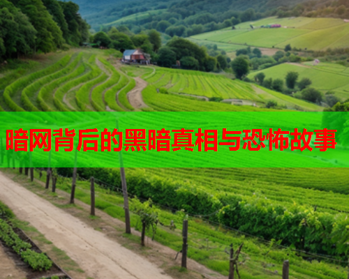 暗网背后的黑暗真相与恐怖故事