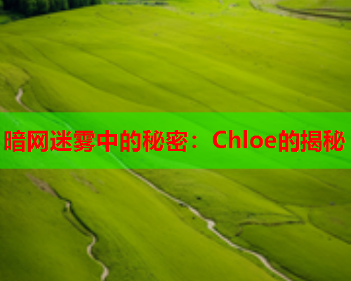 暗网迷雾中的秘密：Chloe的揭秘