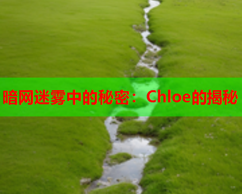 暗网迷雾中的秘密：Chloe的揭秘