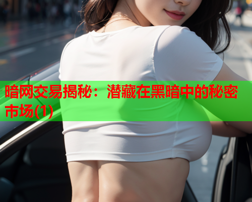 暗网交易揭秘：潜藏在黑暗中的秘密市场(1)