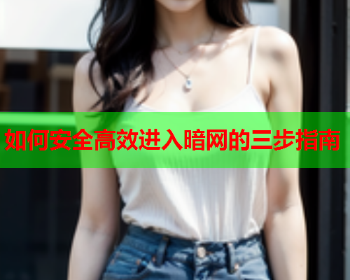 如何安全高效进入暗网的三步指南