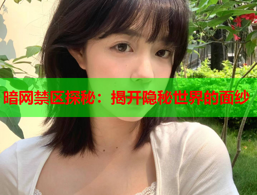 暗网禁区探秘：揭开隐秘世界的面纱