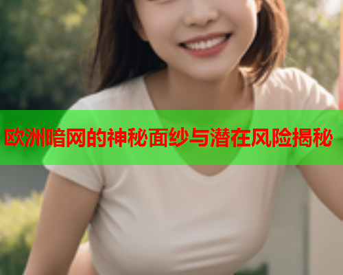 欧洲暗网的神秘面纱与潜在风险揭秘