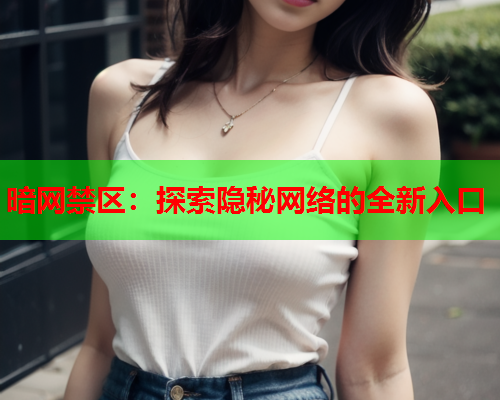 暗网禁区：探索隐秘网络的全新入口