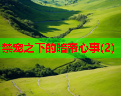禁宠之下的暗帝心事(2)