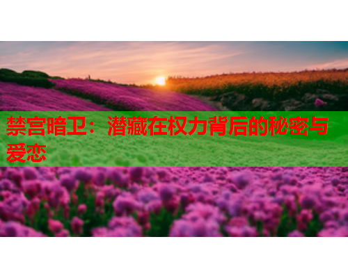 禁宫暗卫：潜藏在权力背后的秘密与爱恋