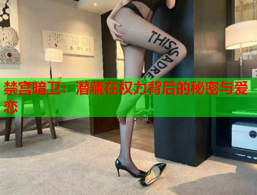 禁宫暗卫：潜藏在权力背后的秘密与爱恋