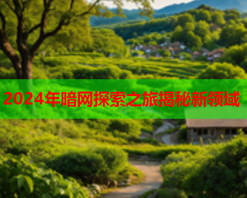 2024年暗网探索之旅揭秘新领域