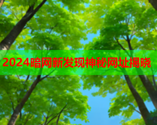 2024暗网新发现神秘网址揭晓