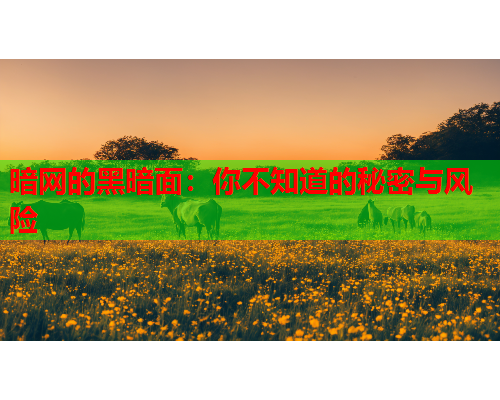 暗网的黑暗面：你不知道的秘密与风险