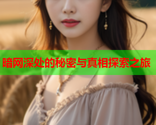 暗网深处的秘密与真相探索之旅