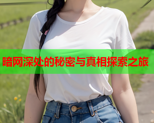 暗网深处的秘密与真相探索之旅