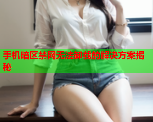 手机暗区禁网无法卸载的解决方案揭秘