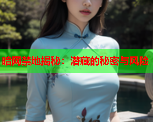 暗网禁地揭秘：潜藏的秘密与风险