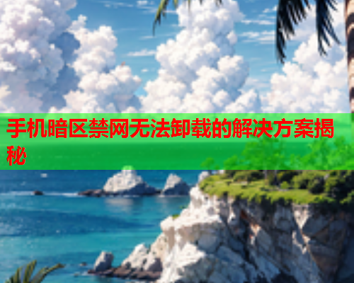 手机暗区禁网无法卸载的解决方案揭秘